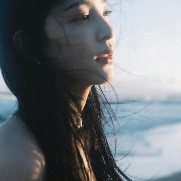 杜宾巡官：布列塔尼冲浪者